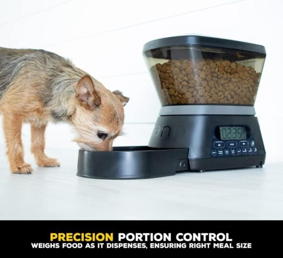 Dispensador De Alimentos Para Mascotas Automático - Imagen 3